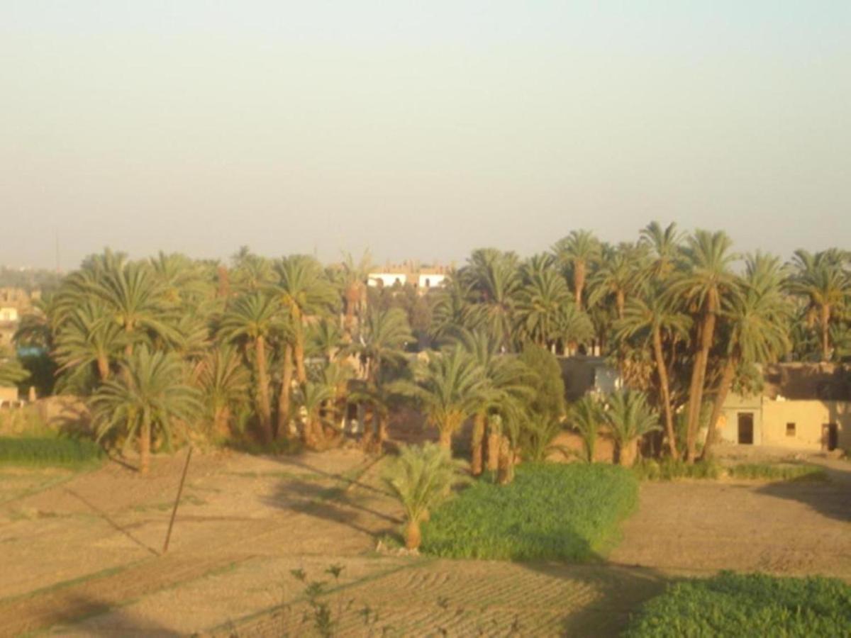 Rose Guest House Luxor Bagian luar foto