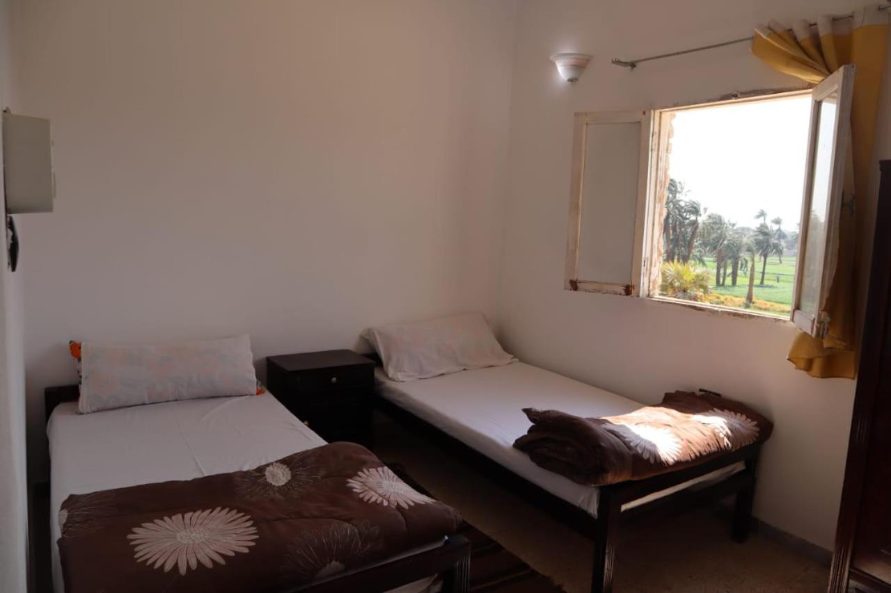 Rose Guest House Luxor Bagian luar foto