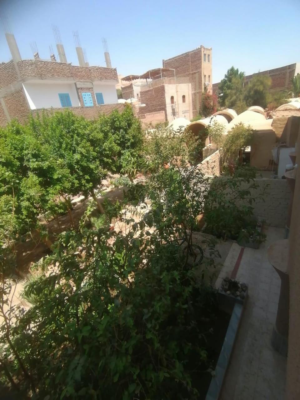 Rose Guest House Luxor Bagian luar foto