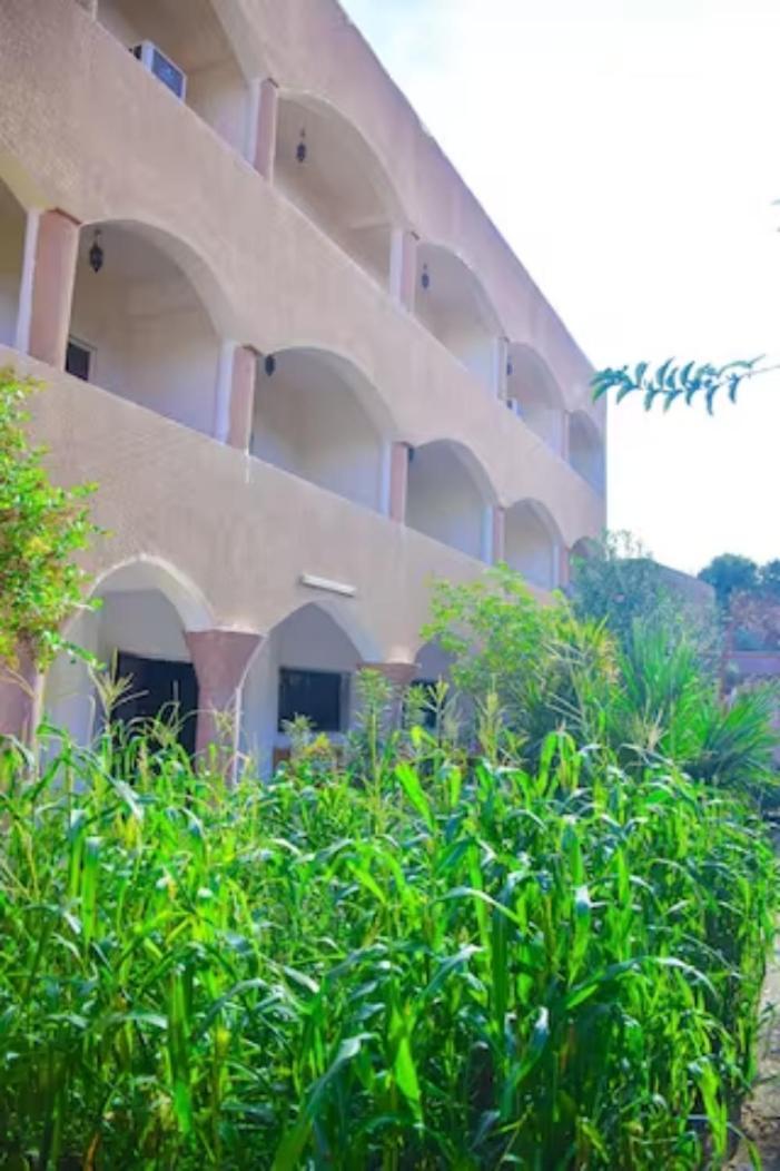 Rose Guest House Luxor Bagian luar foto