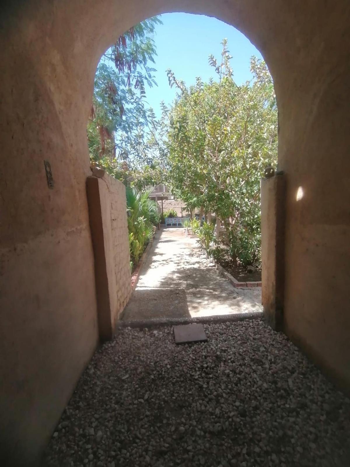 Rose Guest House Luxor Bagian luar foto