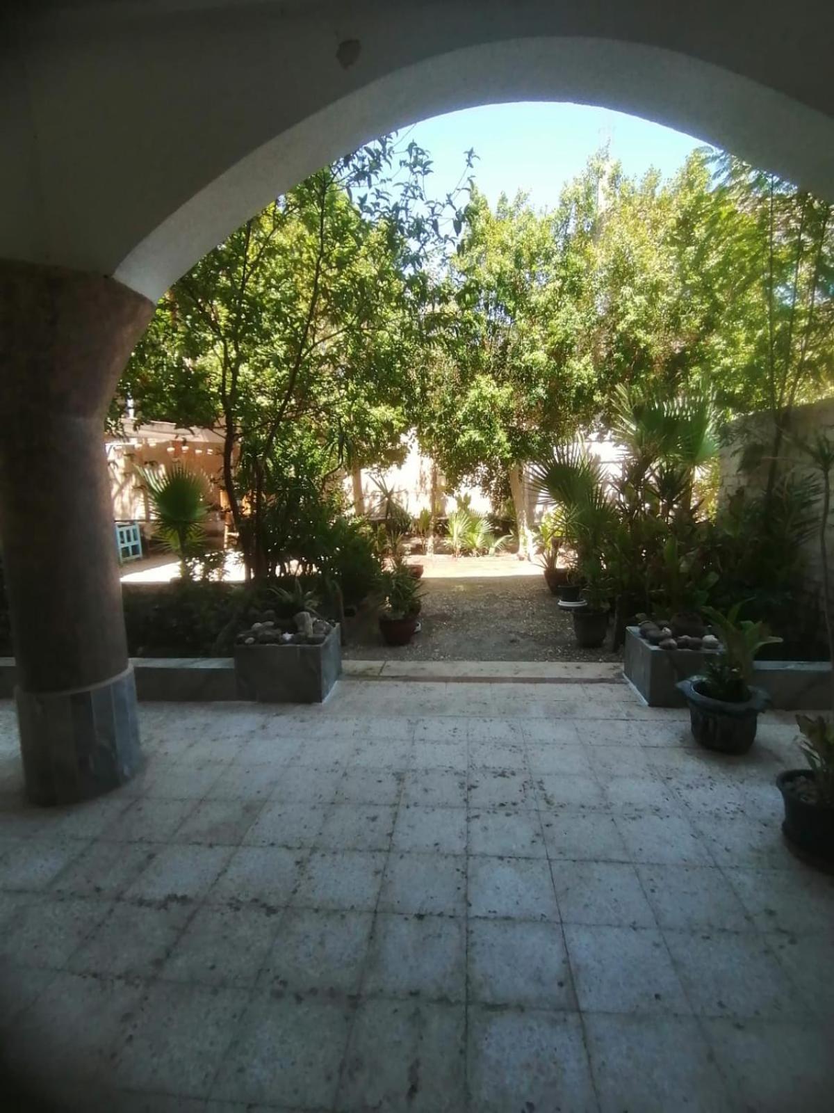 Rose Guest House Luxor Bagian luar foto