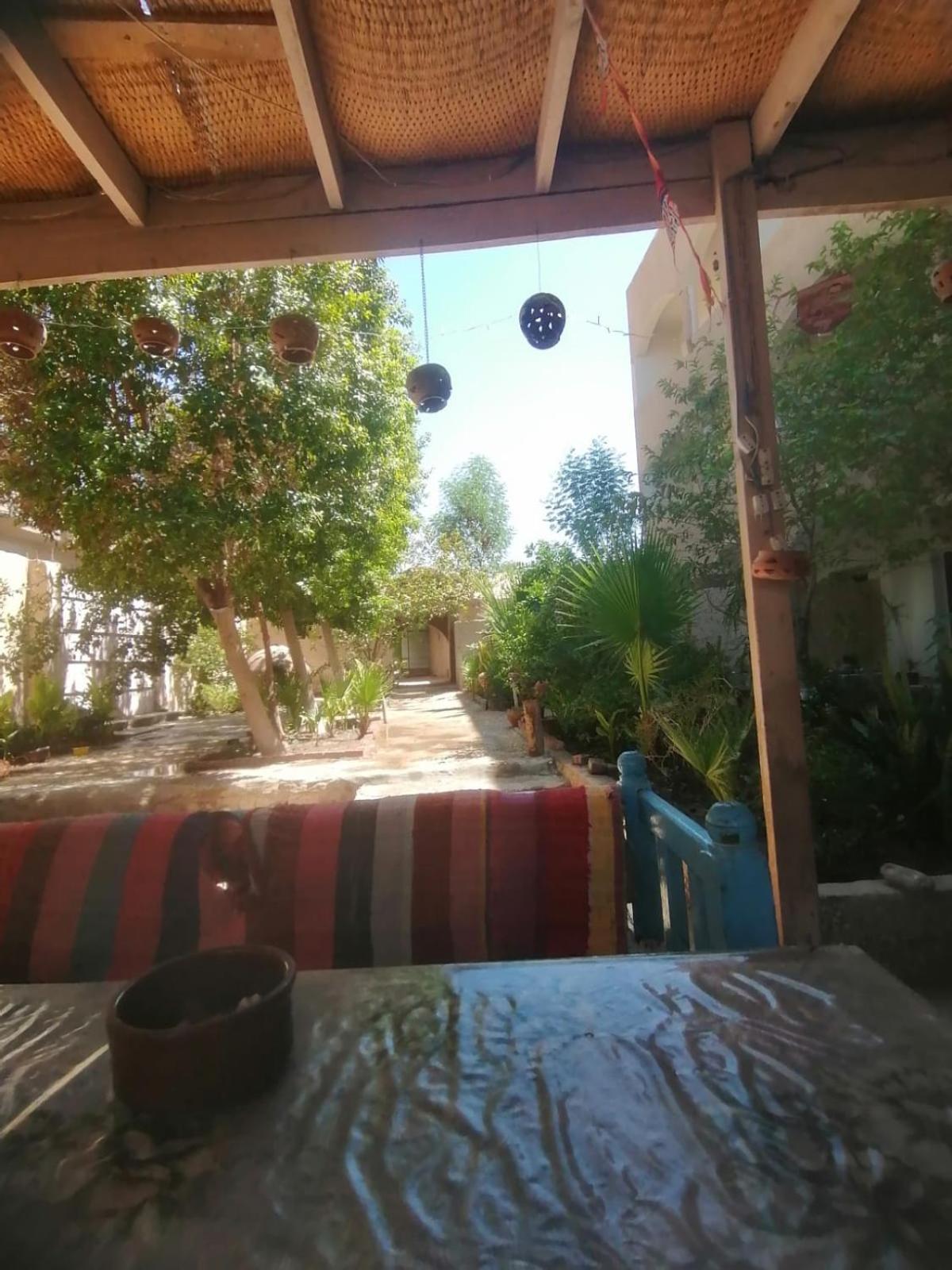 Rose Guest House Luxor Bagian luar foto