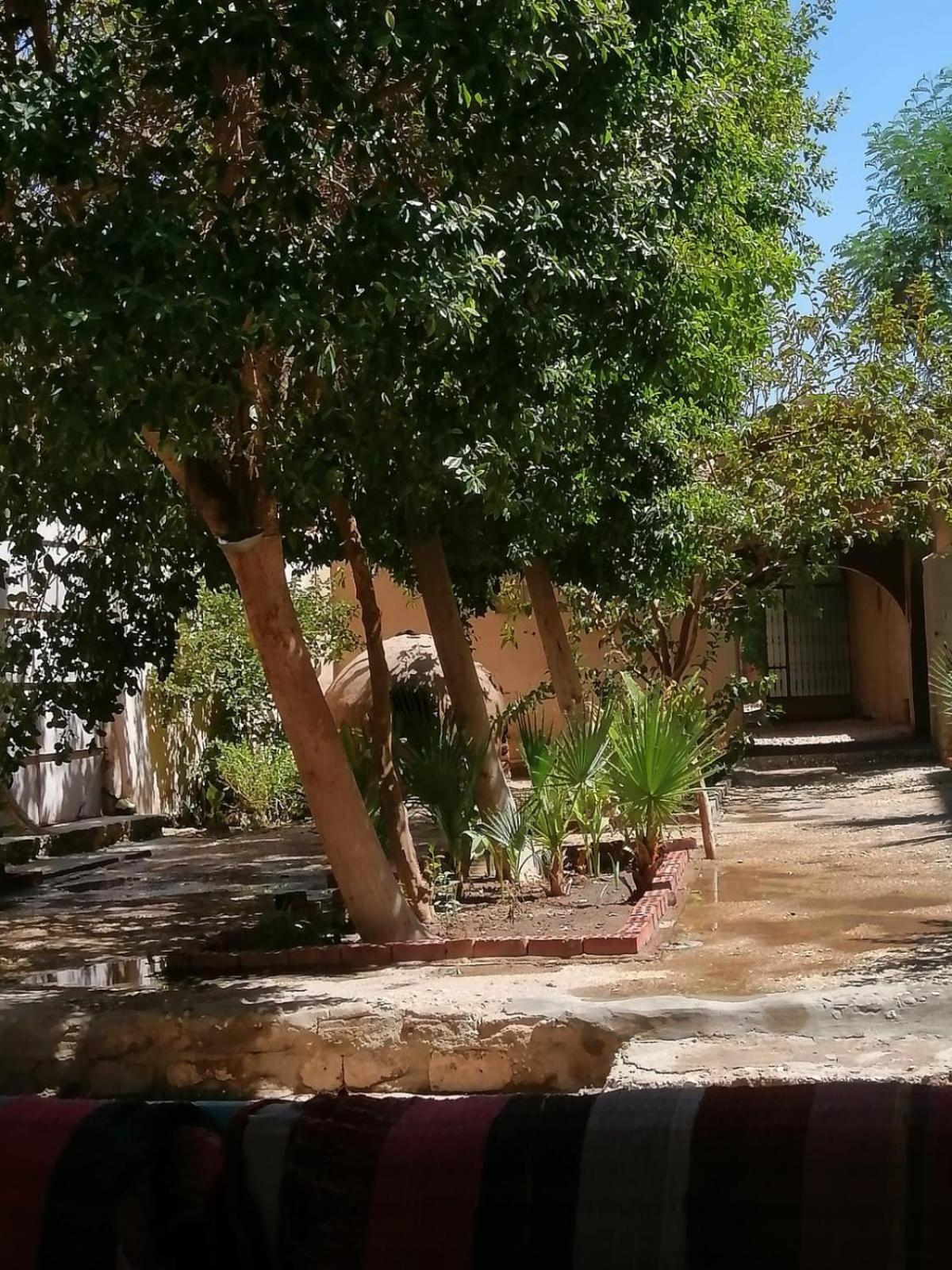 Rose Guest House Luxor Bagian luar foto