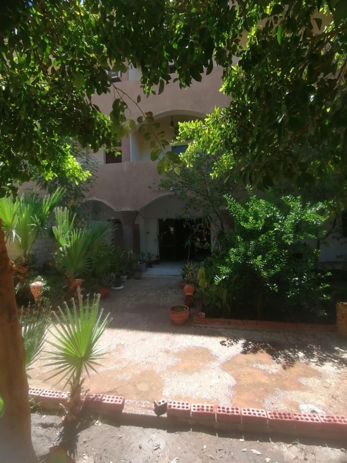 Rose Guest House Luxor Bagian luar foto